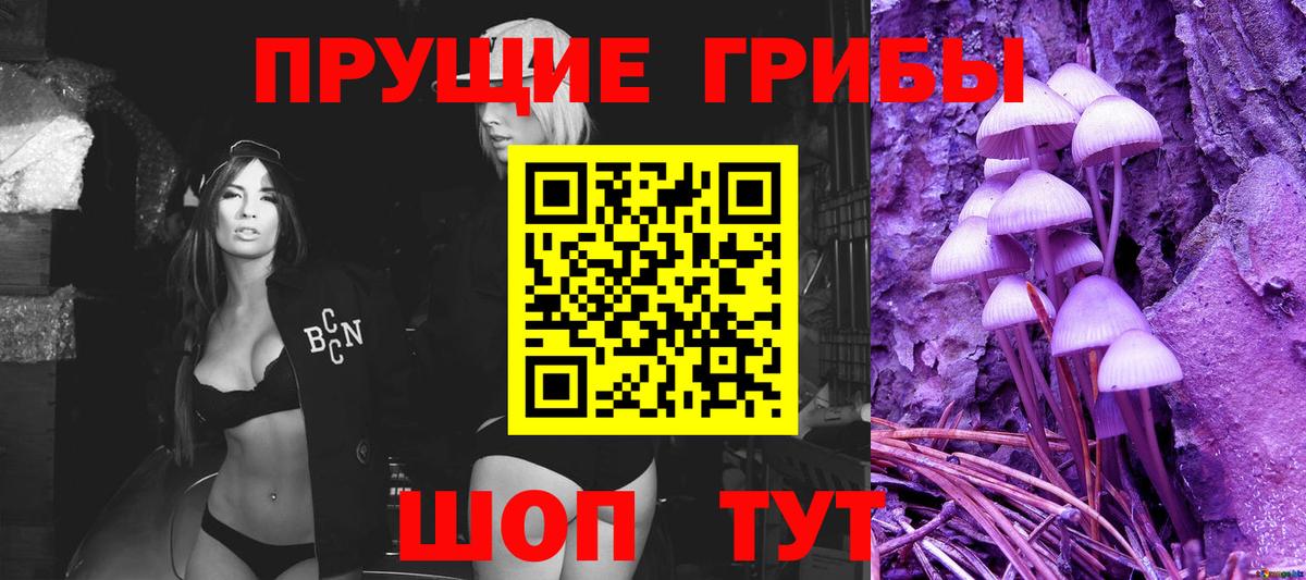 закладки  Вход с VPN  Выборг  Псилоцибиновые грибы GOLDEN TEACHER 